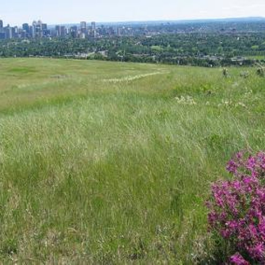 Photo of Calgary North community